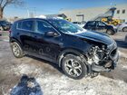 2020 Kia Sportage Lx Blue vin: KNDPMCAC8L7760203