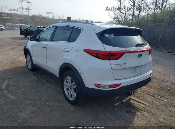 KNDPMCAC9K7501380 2019 KIA SPORTAGE White Tył lewy