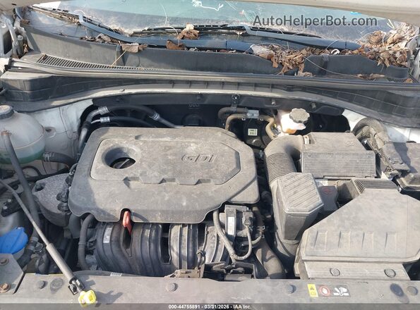 KNDPMCAC9K7501380 2019 KIA SPORTAGE White Widok z tyłu