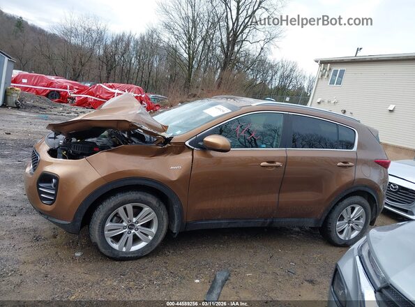 KNDPMCACXK7604517 2019 KIA SPORTAGE Коричневый Панорамный вид салона 360°