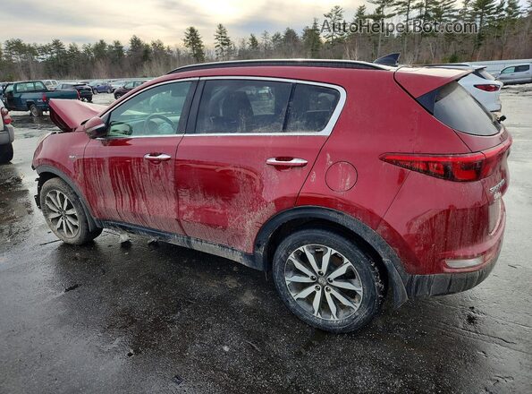 KNDPNCAC7K7534388 2019 KIA SPORTAGE Красный Задняя левая четверть