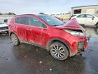2019 Kia Sportage Ex Красный vin: KNDPNCAC7K7534388