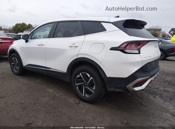 KNDPUCAG2P7091256 2023 KIA SPORTAGE HYBRID Белый Задняя левая четверть