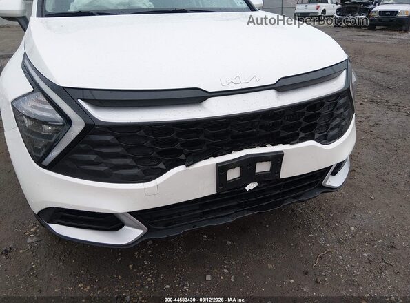 KNDPUCAG2P7091256 2023 KIA SPORTAGE HYBRID Белый Вид спереди