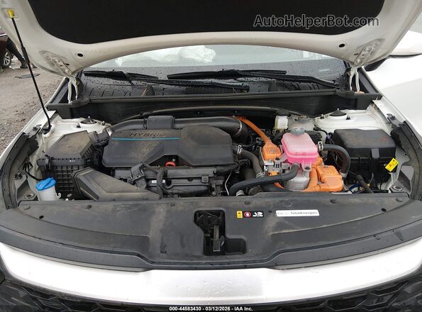 KNDPUCAG2P7091256 2023 KIA SPORTAGE HYBRID Белый Вид сзади
