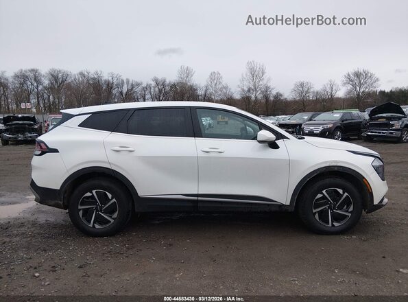 KNDPUCAG2P7091256 2023 KIA SPORTAGE HYBRID Белый Вид задней части салона