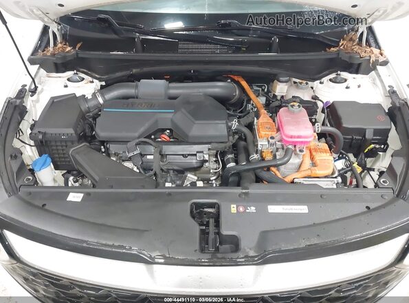 KNDPUCAG8P7028484 2023 KIA SPORTAGE HYBRID Белый Вид сзади