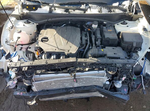 KNDPUCDF7S7352909 2025 KIA SPORTAGE Белый Вид задней части салона