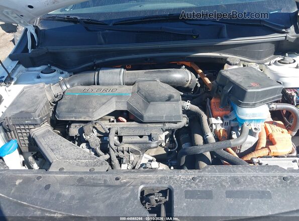 KNDPVCAG2P7068380 2023 KIA SPORTAGE HYBRID Белый Вид сзади