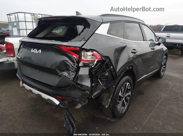 KNDPVCAG3P7012822 2023 KIA SPORTAGE HYBRID Gray Trasero derecho
