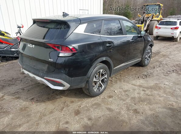 KNDPVCDG1S7182469 2025 KIA SPORTAGE HYBRID Черный Задняя правая четверть