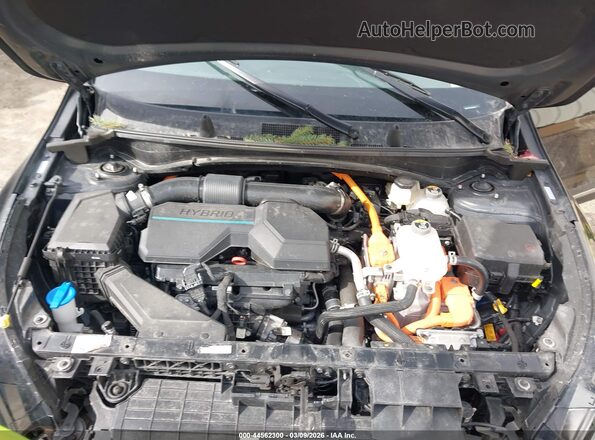 KNDPVCDG1S7182469 2025 KIA SPORTAGE HYBRID Черный Вид сзади