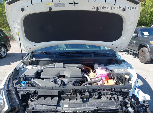 KNDPVCDGXS7253961 2025 KIA SPORTAGE HYBRID Белый Вид сзади