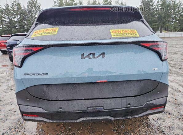 KNDPVDDG0T7324088 2026 KIA SPORTAGE Синий Вид сзади