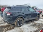 2024 Kia Sportage X Line Limited Black vin: KNDPXCDFXR7257441