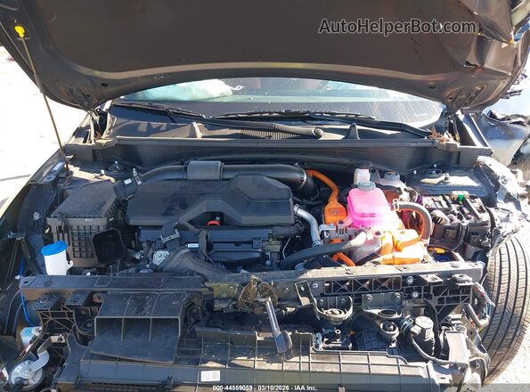 KNDPXCDG5S7244465 2025 KIA SPORTAGE HYBRID Черный Вид сзади