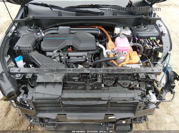KNDPXCDG7S7189792 2025 KIA SPORTAGE HYBRID Черный Вид сзади