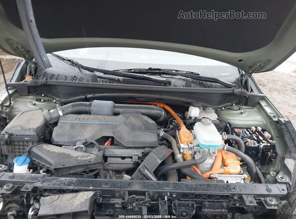 KNDPYDAH6P7062376 2023 KIA SPORTAGE PLUG-IN HYBRID Green Вид ззаду
