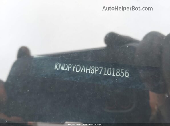 KNDPYDAH8P7101856 2023 KIA SPORTAGE PLUG-IN HYBRID Green Widok komory silnika