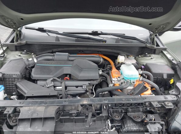 KNDPYDAH8P7101856 2023 KIA SPORTAGE PLUG-IN HYBRID Green Widok z tyłu