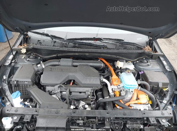 KNDPYDDH2S7246315 2025 KIA SPORTAGE PLUG-IN HYBRID Черный Вид сзади