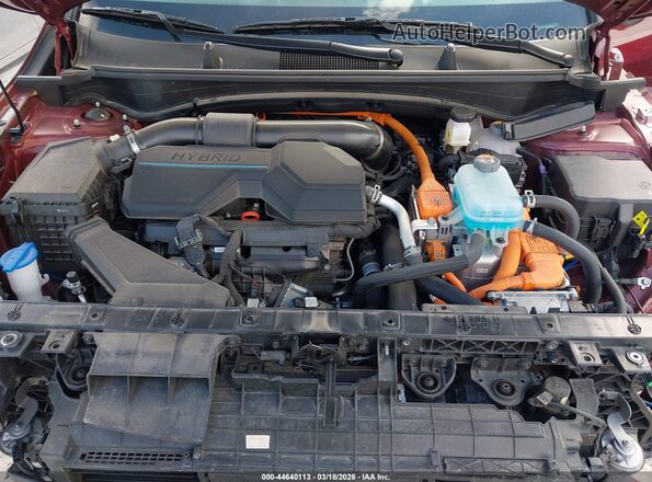 KNDPZDDH1S7188694 2025 KIA SPORTAGE PLUG-IN HYBRID Красный Вид сзади