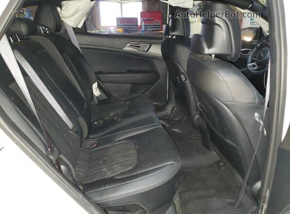 KNDPZDDH4S7234258 2025 KIA SPORTAGE Белый Вид задней части салона