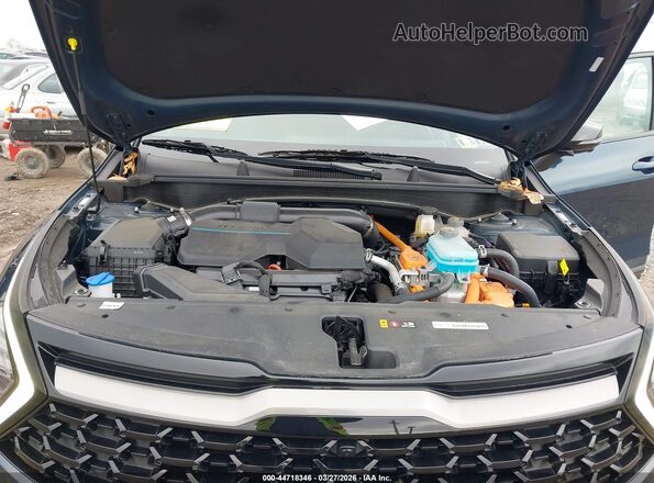 KNDPZDDH7R7142104 2024 KIA SPORTAGE PLUG-IN HYBRID Синий Вид сзади