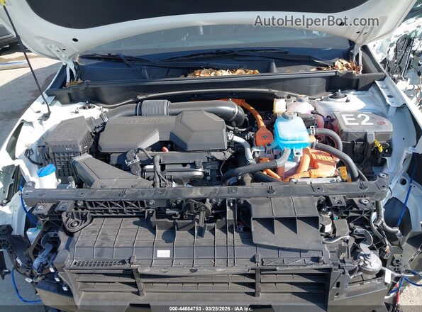 KNDPZDDH9S7280703 2025 KIA SPORTAGE PLUG-IN HYBRID Белый Вид сзади
