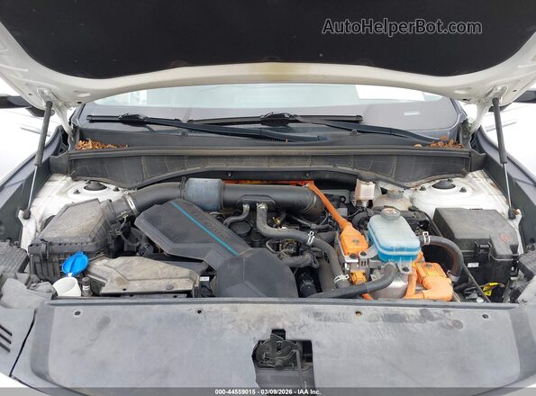 KNDRG4LG7M5036912 2021 KIA SORENTO HYBRID Белый Вид сзади
