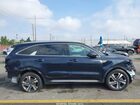 2023 Kia Sorento Hybrid Ex Черный vin: KNDRHDLG1P5185401