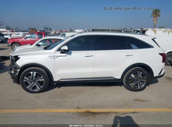 KNDRHDLG9R5259778 2024 KIA SORENTO HYBRID White 
