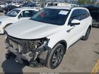 2024 Kia Sorento Hybrid Ex White vin: KNDRHDLG9R5259778