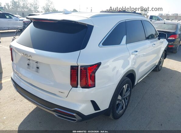 KNDRHDLG9R5259778 2024 KIA SORENTO HYBRID White Tył prawy