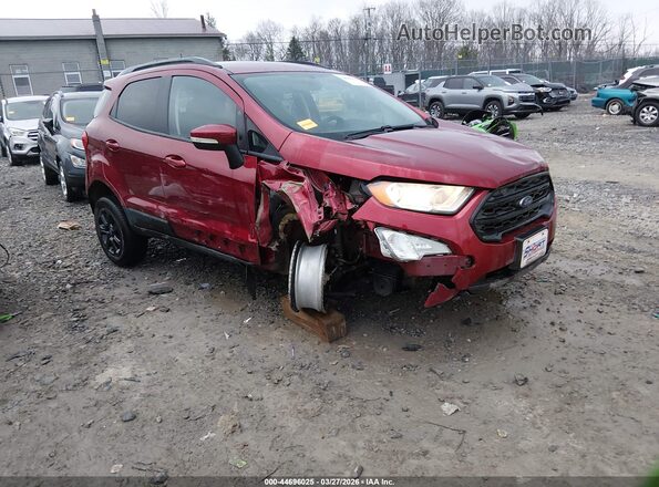 MAJ6S3GL1LC336061 2020 FORD ECOSPORT Red Przód prawy