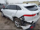 2020 Jaguar F-pace Premium P250 Awd Automatic White vin: SADCJ2FX3LA657971
