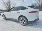 2019 Jaguar F-pace Premium White vin: SADCJ2FX5KA605210