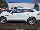 2019 Jaguar F-pace 25t Premium White vin: SADCJ2FX9KA366745