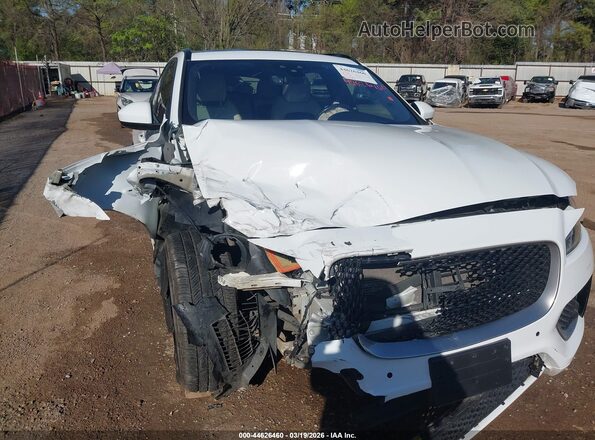 SADCM2FV5KA369356 2019 JAGUAR F-PACE Белый Вид спереди