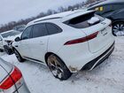 2024 Jaguar F-pace R-dynamic S White vin: SADCT2EX2RA728758
