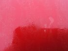 2017 Jaguar Xe Prestige Red vin: SAJAE4BV2HA962555 Damage: Hood, Chipped, 1