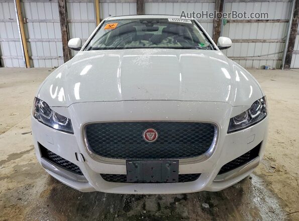 SAJBJ4FX4KCY79488 2019 JAGUAR XF Белый Вид спереди