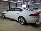 2019 Jaguar Xf Premium Белый vin: SAJBJ4FX4KCY79488