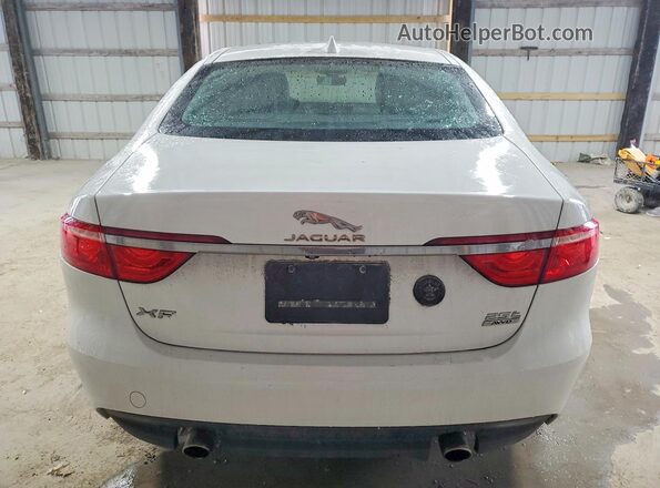 SAJBJ4FX4KCY79488 2019 JAGUAR XF Белый Вид сзади