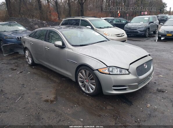 SAJWA1CE8GMW00581 2016 JAGUAR XJ Beige Przód prawy