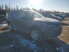 2024 Land Rover Discovery Sport S Gray vin: SALCJ2FX8RH339090