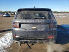 2024 Land Rover Discovery Sport S Gray vin: SALCJ2FX8RH339090