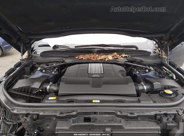 SALGS2PF2GA285523 2016 LAND ROVER RANGE ROVER Dark Blue Widok z tyłu