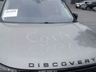 2017 Land Rover Discovery Hse Gray vin: SALRRBBV3HA013034