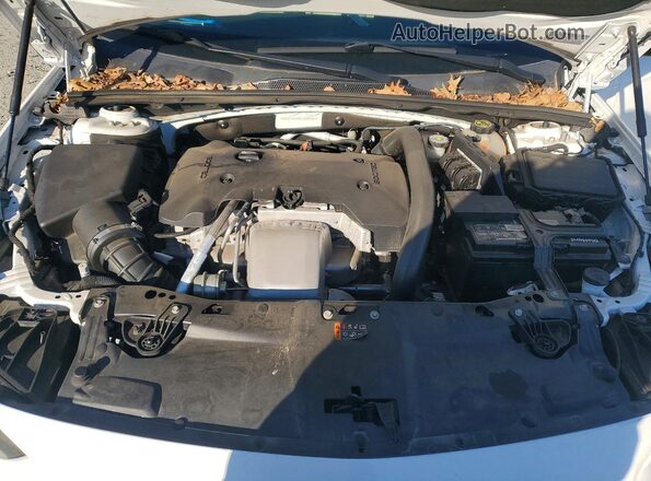 W04GP6SX8K1005591 2019 BUICK REGAL Белый Вид задней части салона